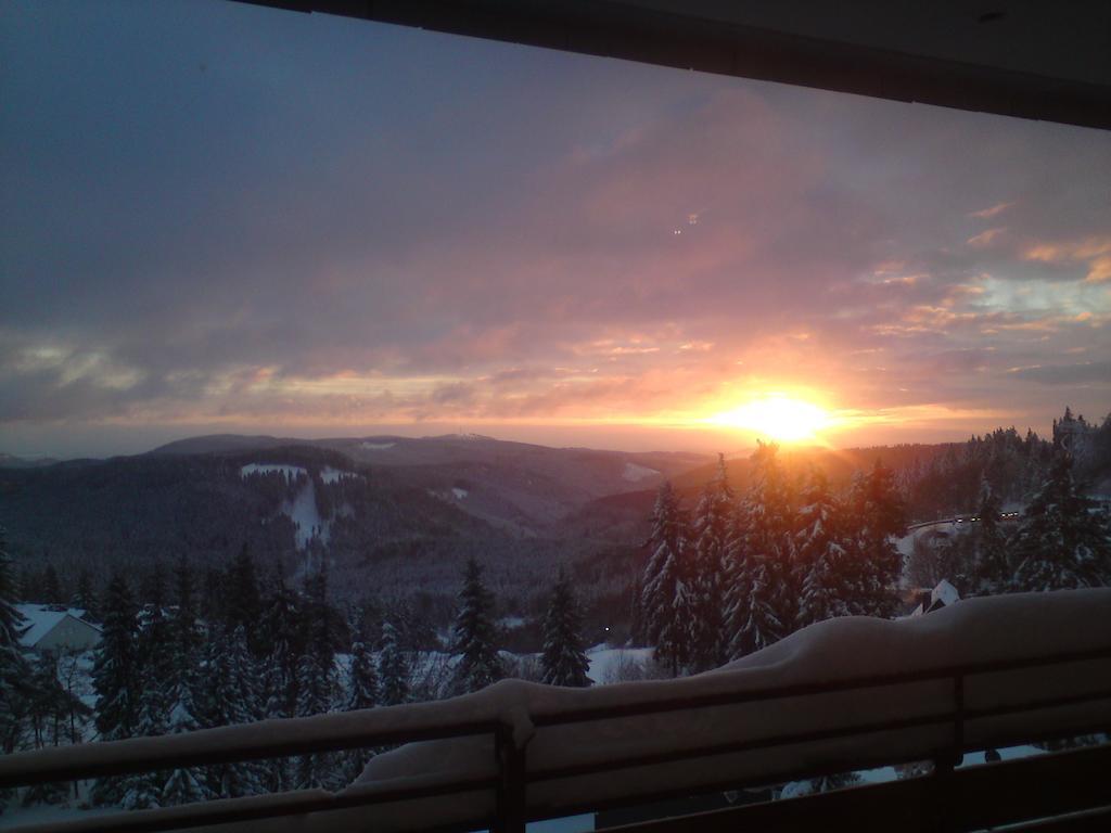 Appartement Haus Nicole à Winterberg Extérieur photo